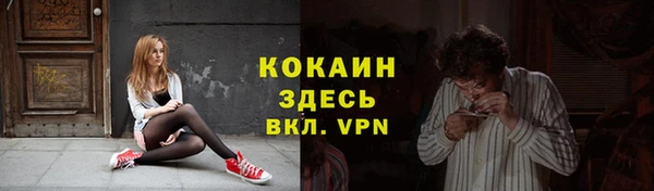 прущие крисы Аркадак