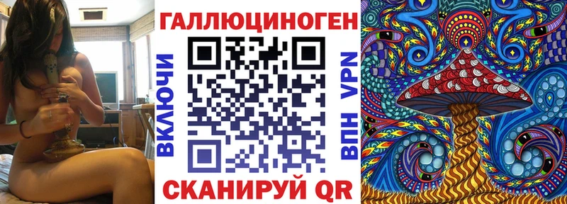 Купить  Подольск  Галлюциногенные грибы GOLDEN TEACHER 
